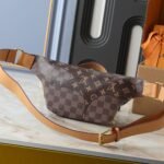 Louis Vuitton Rush Bumbag Brown 30Cm M15271 - Image 4