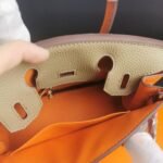 Hermes Birkin Mini Gold Hardware Epsom Multicolor 20Cm - Image 9