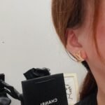 Louis Vuitton Lv Iconic Earrings M00609 - Image 6