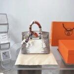 Hermes Birkin 25 Niloticus Crocodile Himalaya Blanc 25Cm - Image 2