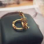 Louis Vuitton Lv Iconic Earrings Gold M01841 - Image 3