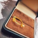 Louis Vuitton Lv Iconic Earrings Gold M01841 - Image 4