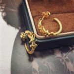 Louis Vuitton Lv Iconic Earrings Gold M01841 - Image 5