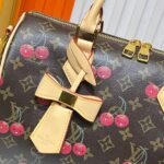 Louis Vuitton Speedy 30 Cherry 30Cm - Image 7