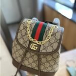 Gucci Ophidia Gg Mini Backpack Beige Ebony 22Cm 79522196Iwg_8745 - Image 4