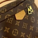 Louis Vuitton Bumbag Monogram 26Cm M43644 - Image 7