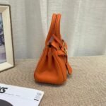 Hermes Birkin Mini Gold Hardware Epsom Orange 20Cm - Image 3