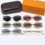 Louis Vuitton Iconique Féline Sunglasses Transparent - Image 3