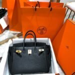 Hermes Birkin 25 Togo Leather Gold Hardware Black 25Cm - Image 2