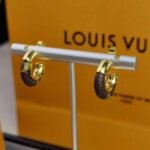 Louis Vuitton Wild Mini Hoop Earrings M00474 - Image 5