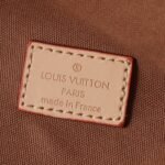Louis Vuitton Rush Bumbag Brown 30cm M15271 - Image 8
