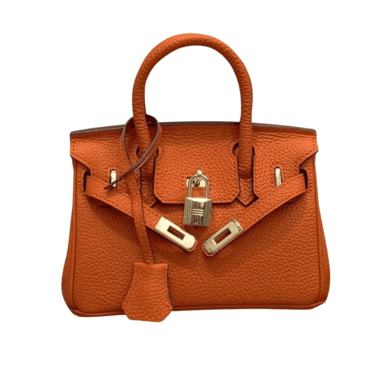 22-2-1-1 Hermes Birkin Mini Gold Hardware Epsom Orange 20Cm - Image 1