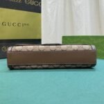 Gucci Luce Small Shoulder Bag Beige And Ebony 27Cm 786027 FADAC 9762 - Image 7
