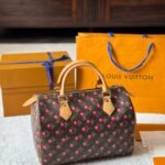 Louis Vuitton X Takashi Murakami Monogram Cerise Speedy 25 Gold Hardware Brown 25cm - Image 2