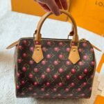 Louis Vuitton X Takashi Murakami Monogram Cerise Speedy 25 Gold Hardware Brown 25cm - Image 6