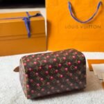 Louis Vuitton X Takashi Murakami Monogram Cerise Speedy 25 Gold Hardware Brown 25cm - Image 4