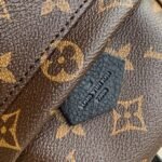 Louis Vuitton Palm Springs Mini Backpack Monogram Canvas 22cm M44873 - Image 4