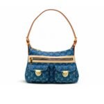 Louis Vuitton Baggy PM Monogram Denim Blue 30Cm M95049