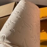 Louis Vuitton Speedy Bandoulière 20 Cream 20Cm M58954 - Image 5