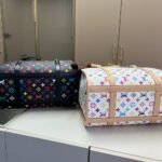 Louis Vuitton X Takashi Murakami Dog Bag Multicolore Blanc 40Cm M13741 - Image 7