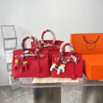 Hermes Birkin Gold Hardware Epsom Red 25Cm - Image 2