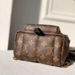 Louis Vuitton Palm Springs Mini Backpack Monogram Canvas 22cm M44873 - Image 3