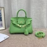 Hermès Birkin B25 Togo Grenat Ghw Green 20Cm - Image 8