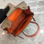 Hermes Birkin Mini Gold Hardware Epsom Multicolor 20Cm - Image 9