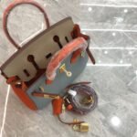 Hermes Birkin Mini Gold Hardware Epsom Multicolor 20Cm - Image 8