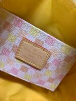 Louis Vuitton Speedy Bandoulière Damier Canvas Peach 20Cm - Image 3