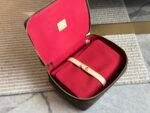 Louis Vuitton Lv Nice Jewelry Case Brown 23Cm - Image 7