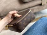 Louis Vuitton Lv Nice Jewelry Case Brown 23Cm - Image 3
