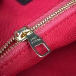 Louis Vuitton Graceful PM Damier Ebene Brown Red 35cm N44044 - Image 4