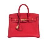 Hermes Birkin Gold Hardware Epsom Red 25Cm
